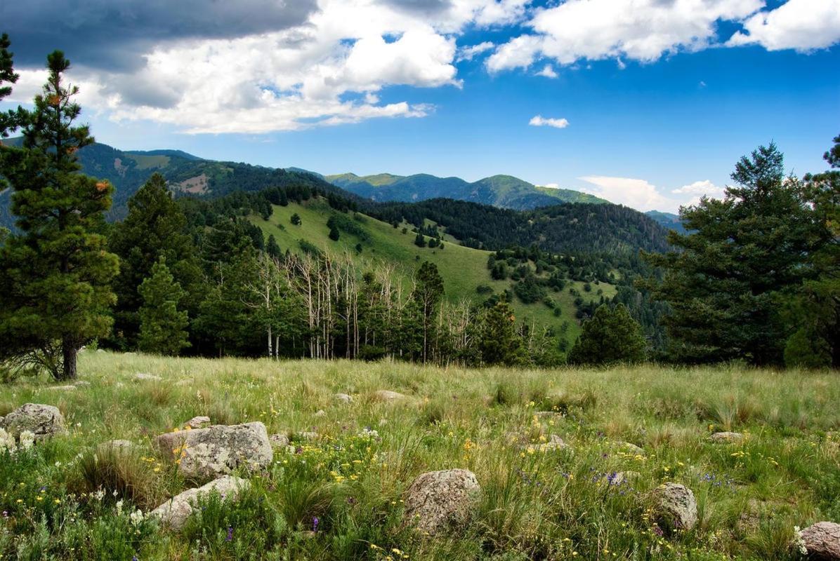 Oso Blanco Villa Ruidoso Exterior foto